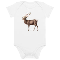 Organic cotton baby bodysuit