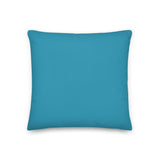 Premium Vintage Pillow with woman on beach